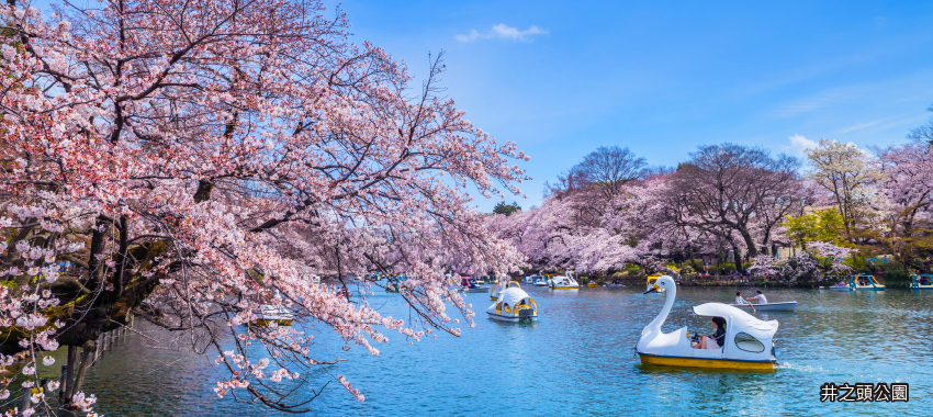 井之頭恩賜公園